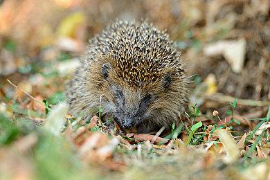 《GT赛车7》的新预告片 展示本作“震撼画面”